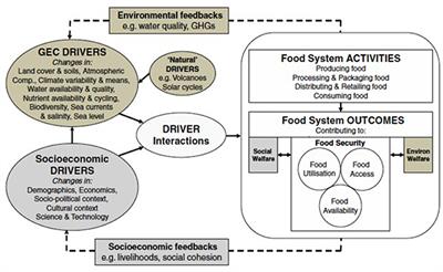 A Shock to the System: What the COVID-19 Pandemic Reveals About Australia's Food Systems and Their Resilience